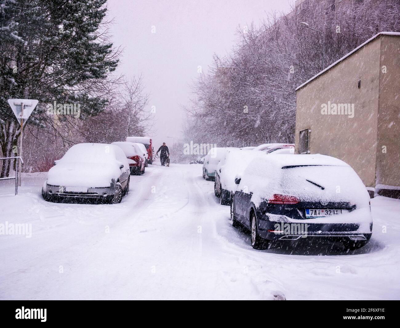 Usti nad Labem, repubblica Ceca - 2.3.2019: Uomo che cammina il cane in una nevicata pesante nel parcheggio Foto Stock