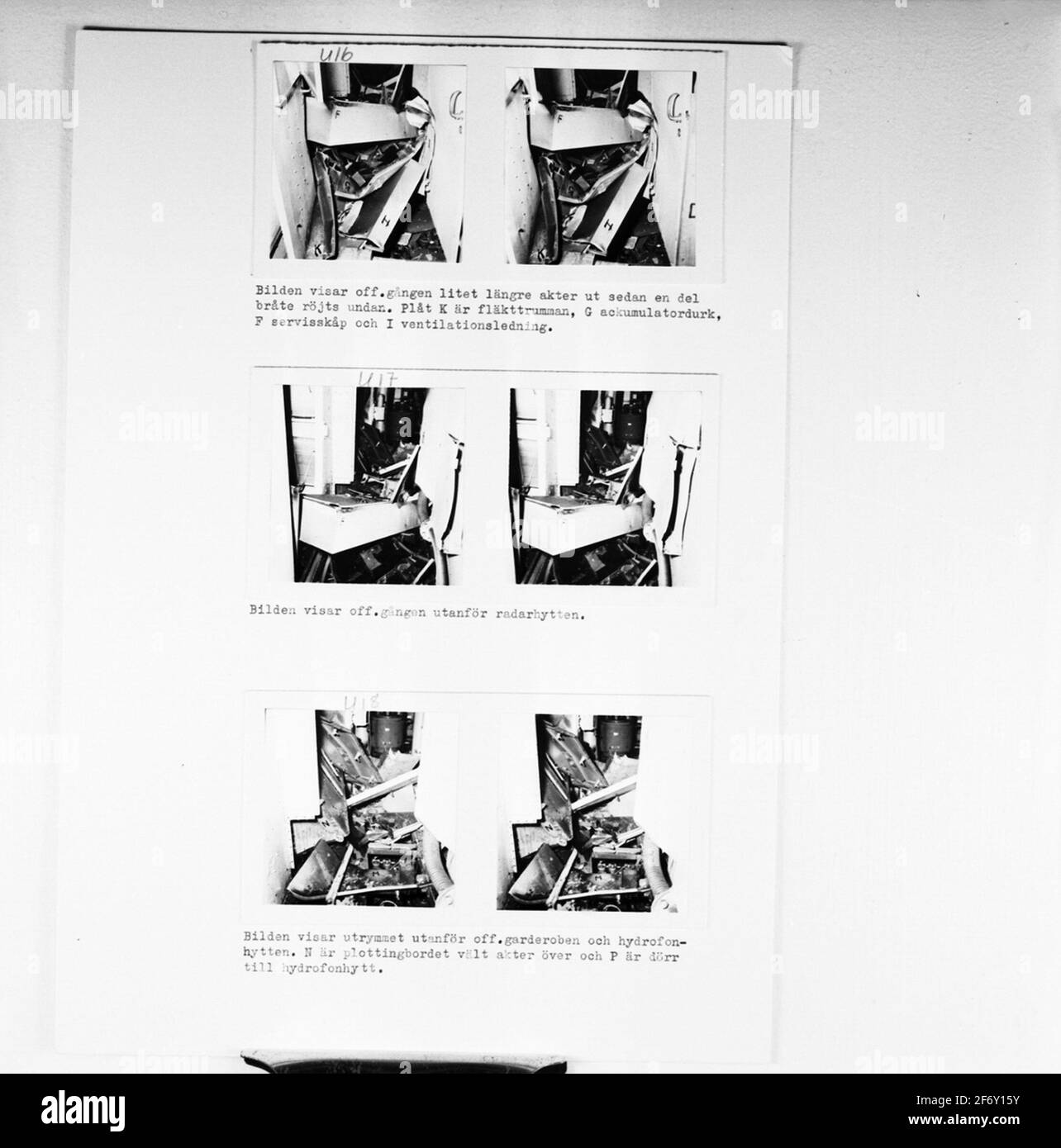 La riproduzione degli squali sottomarini di immagini da danni da fuoco M.M.The squalo (raffigurato - nome) Foto Stock