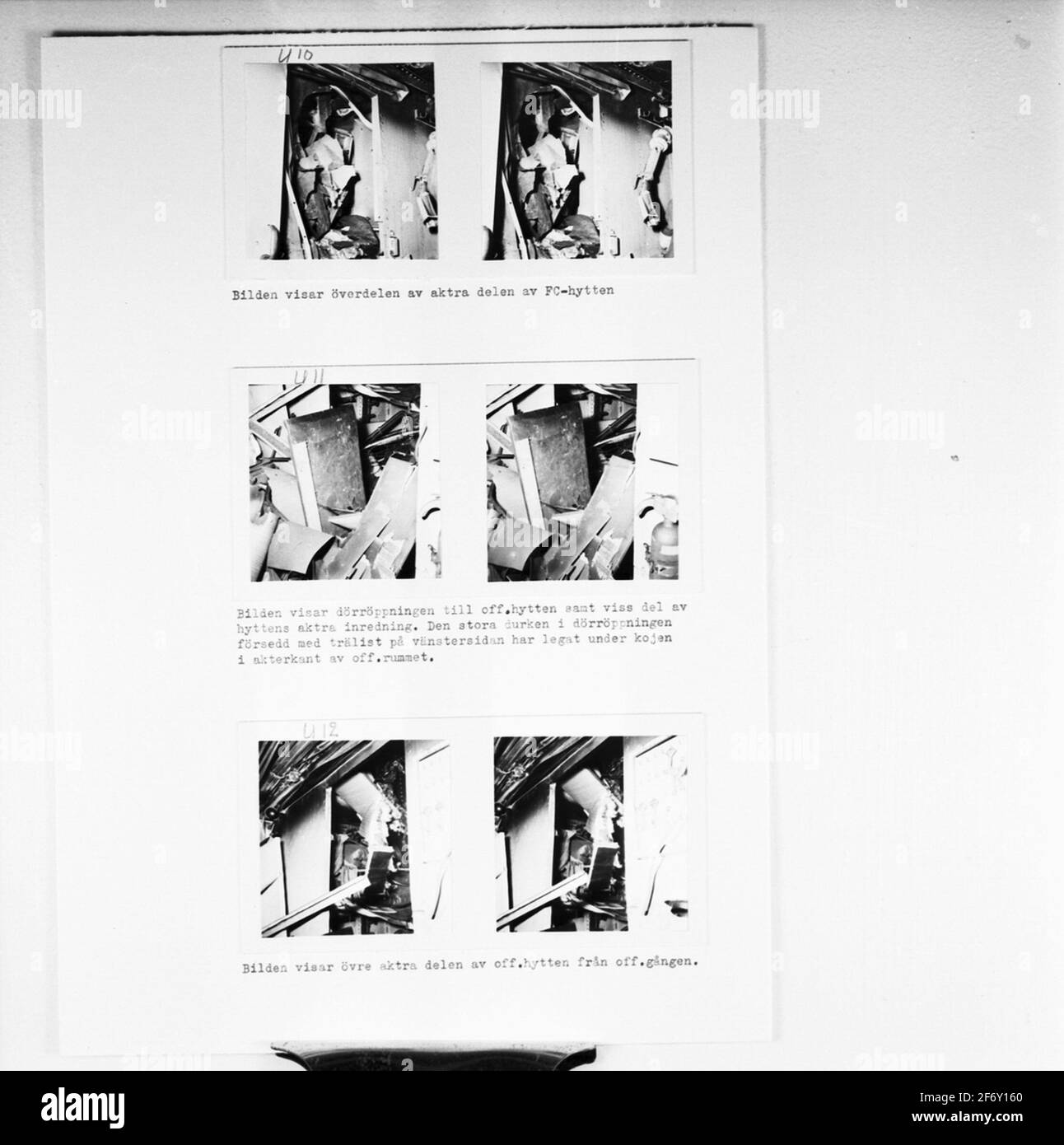 La riproduzione degli squali sottomarini di immagini da danni da fuoco M.M.The squalo (raffigurato - nome) Foto Stock