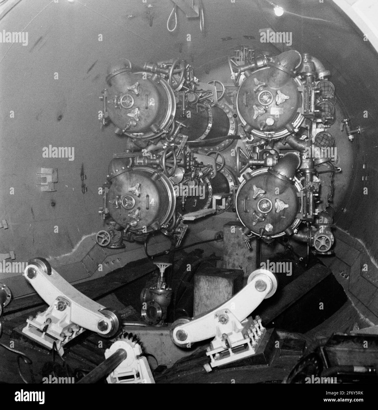 Il delfino (raffigurato - nome).Dolphin (raffigurato - nome) Foto Stock