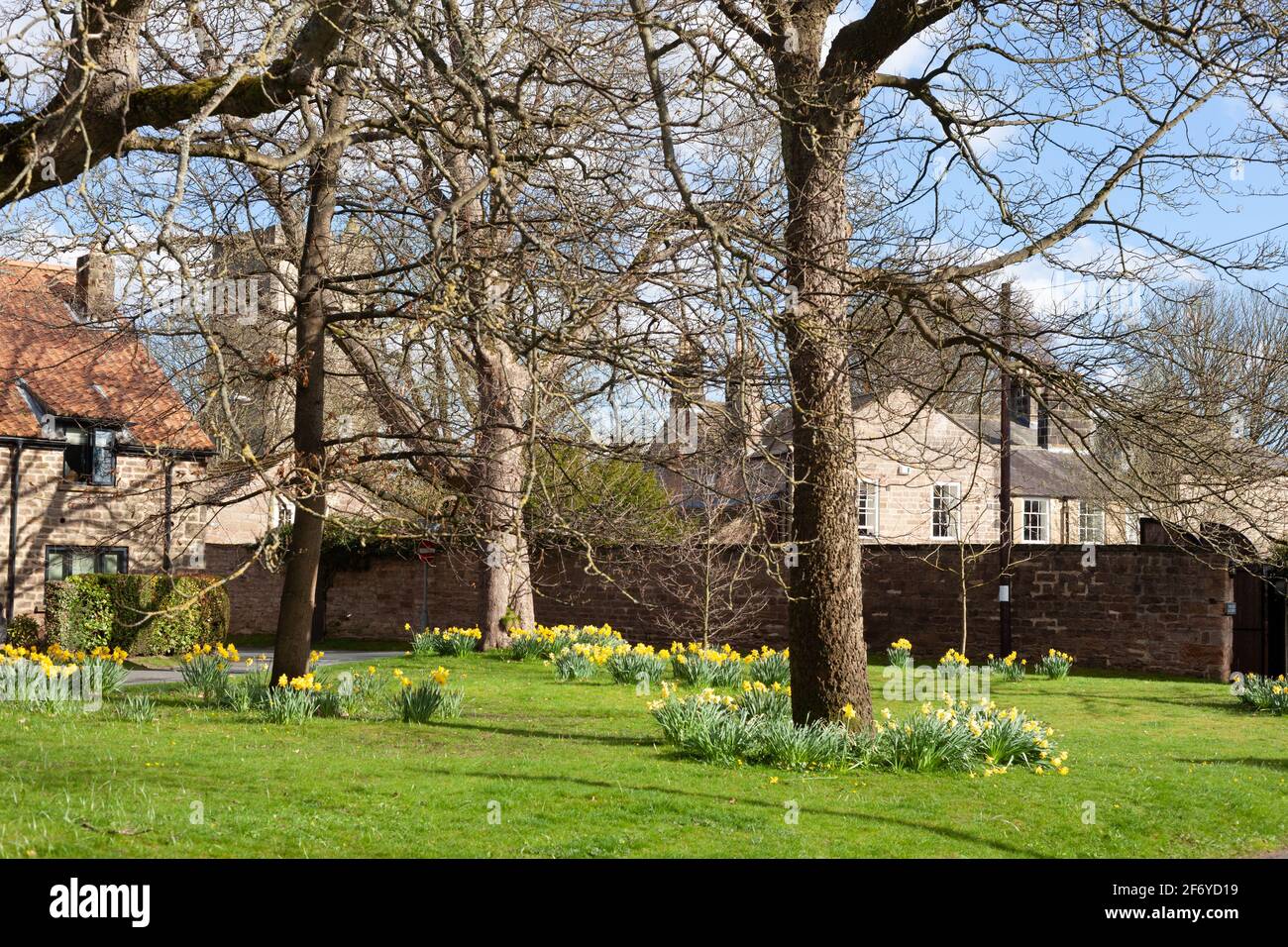 Vista primaverile del piccolo villaggio verde a Spofforth, North Yorkshire con narcisi in fiore Foto Stock