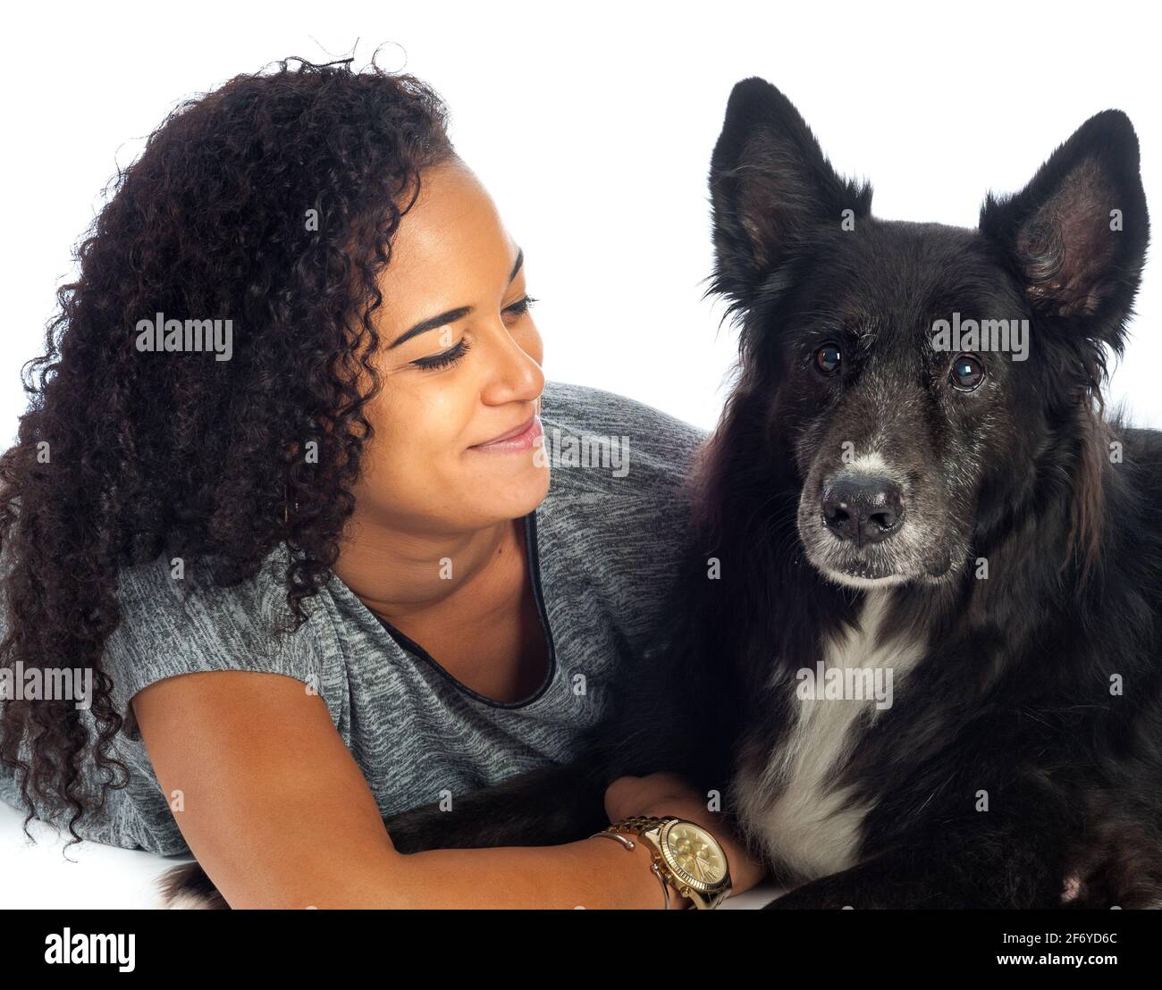 Ragazza in studio con cane Foto Stock