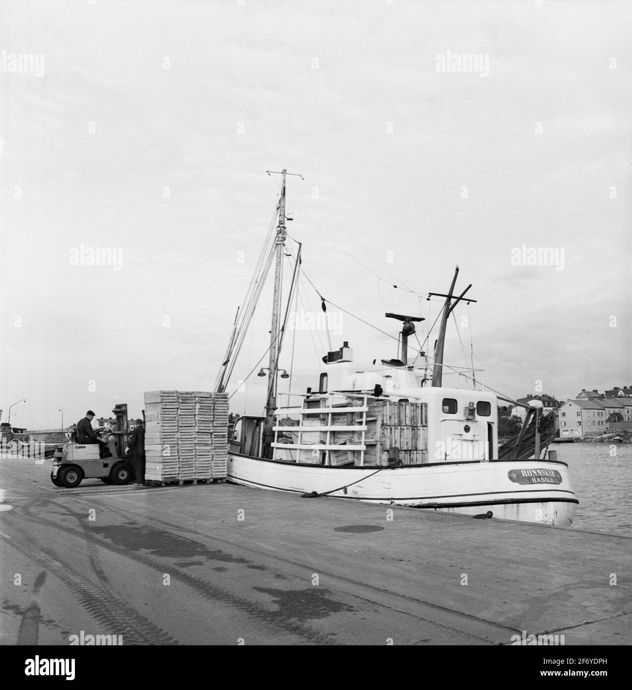 Rönnskär Hasslo (in figura - nome).Rönnskär Hasslo (in figura - nome) Foto Stock