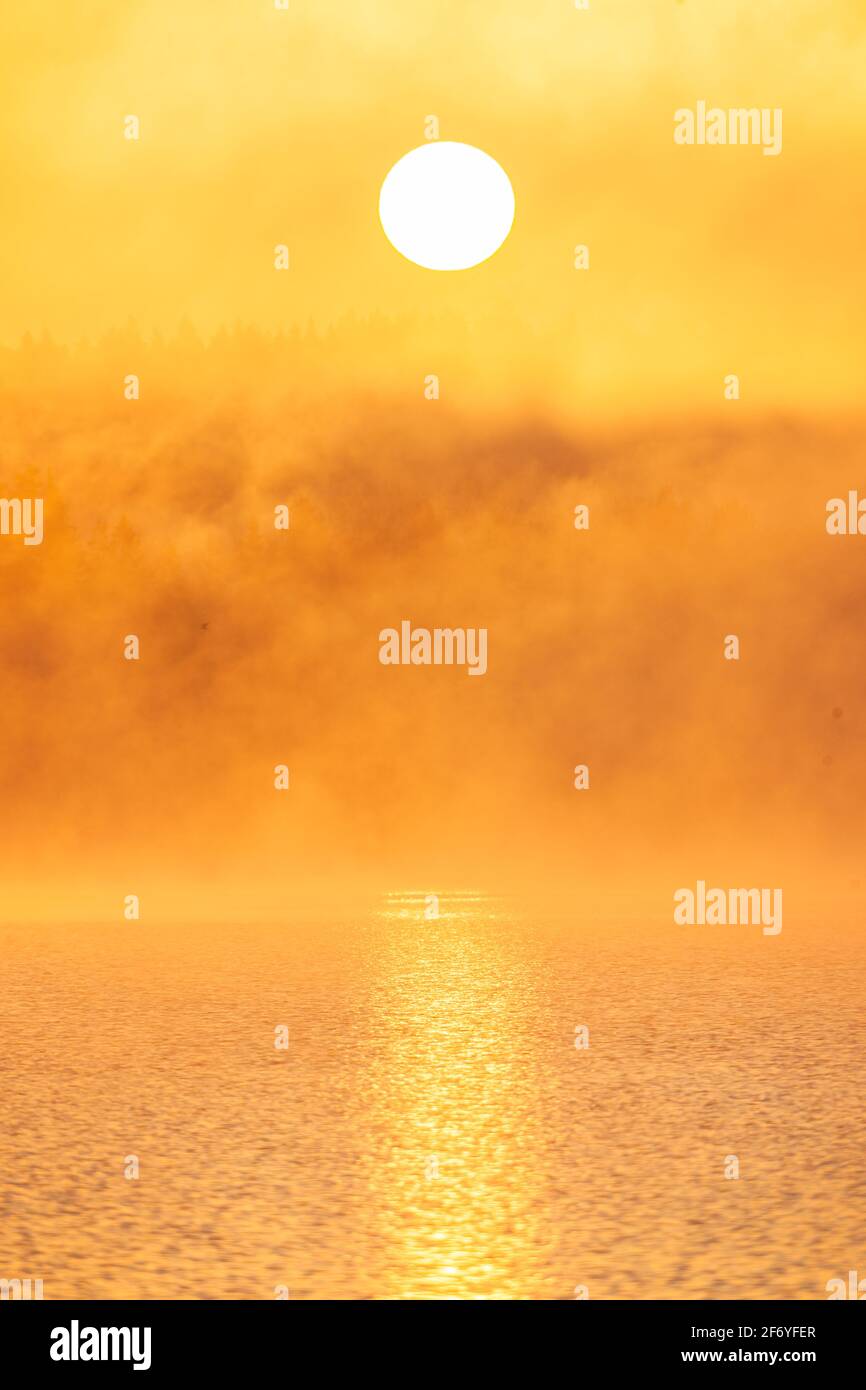 Sole che sorge sopra la foresta e il lago nebby, Svezia. Foto Stock