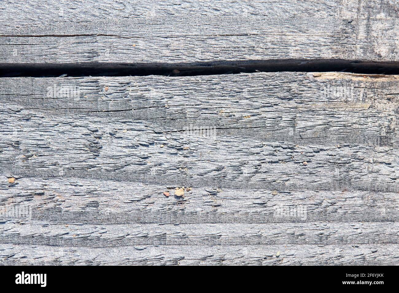 Vecchio tessuto di legno contaminato e lavato con intemperie sabbiose con anelli annuali di spaccatura orizzontali e grani di sabbia del fiume. Tavola asciutta con trama naturale Foto Stock