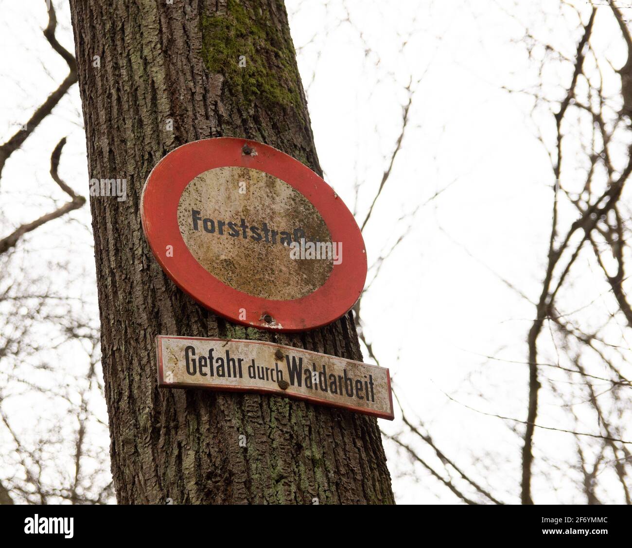 Warnschild Forstarbeiten, Gefahrenschild im Wald Foto Stock