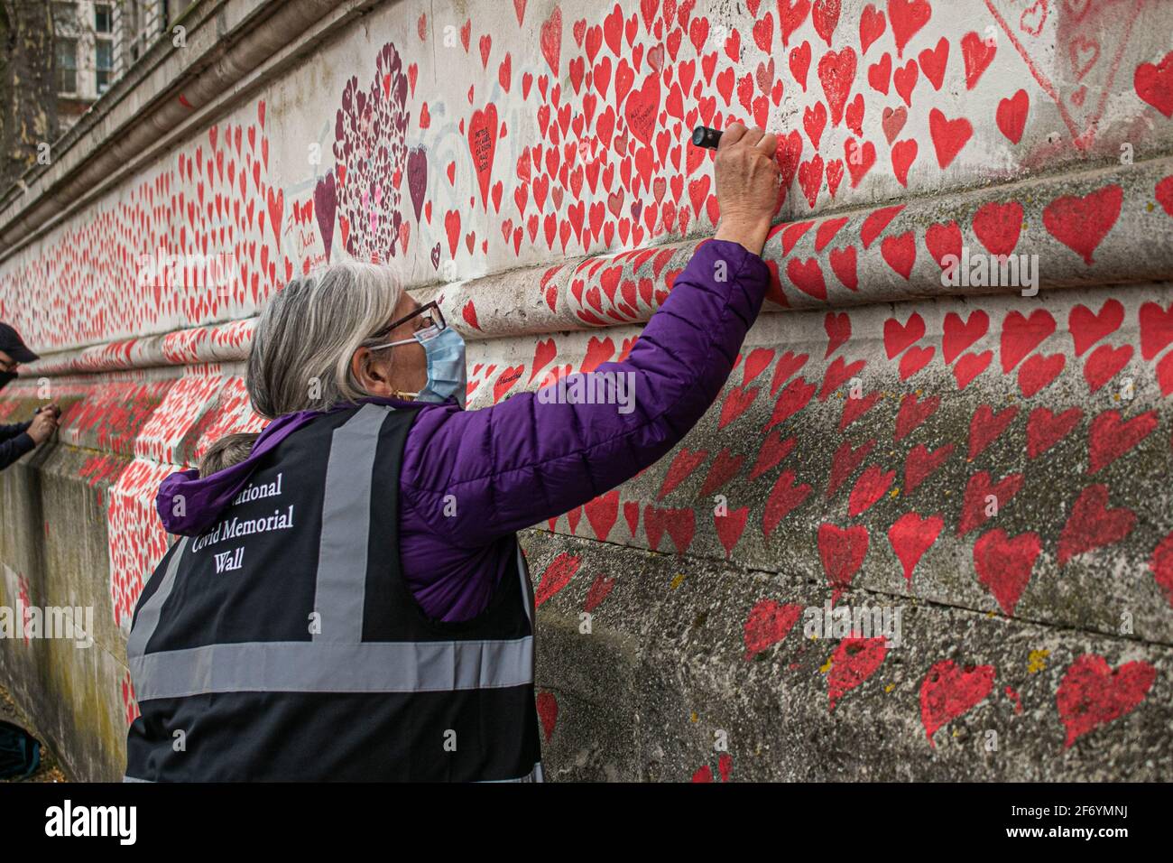 WESTMINSTER LONDON, REGNO UNITO 3 APRILE 2021. I volontari del NHS continuano a disegnare cuori rossi creati per conto delle famiglie in lutto per la giustizia del Covid sul National Covid Memorial Wall lungo l'argine del Tamigi di fronte all'edificio del Parlamento. Ogni cuore rappresenta una vita persa per la pandemia del coronavirus nel Regno Unito che ha superato 126,000 vite fino ad oggi. Credit amer Ghazzal/Alamy Live News Foto Stock