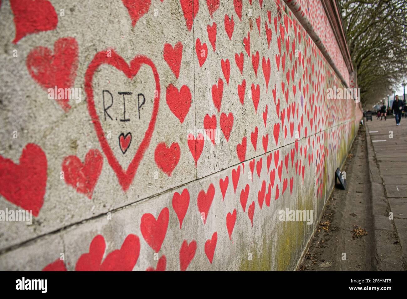 WESTMINSTER LONDON, REGNO UNITO 3 APRILE 2021. I volontari del NHS continuano a disegnare cuori rossi creati per conto delle famiglie in lutto per la giustizia del Covid sul National Covid Memorial Wall lungo l'argine del Tamigi di fronte all'edificio del Parlamento. Ogni cuore rappresenta una vita persa per la pandemia del coronavirus nel Regno Unito che ha superato 126,000 vite fino ad oggi. Credit amer Ghazzal/Alamy Live News Foto Stock