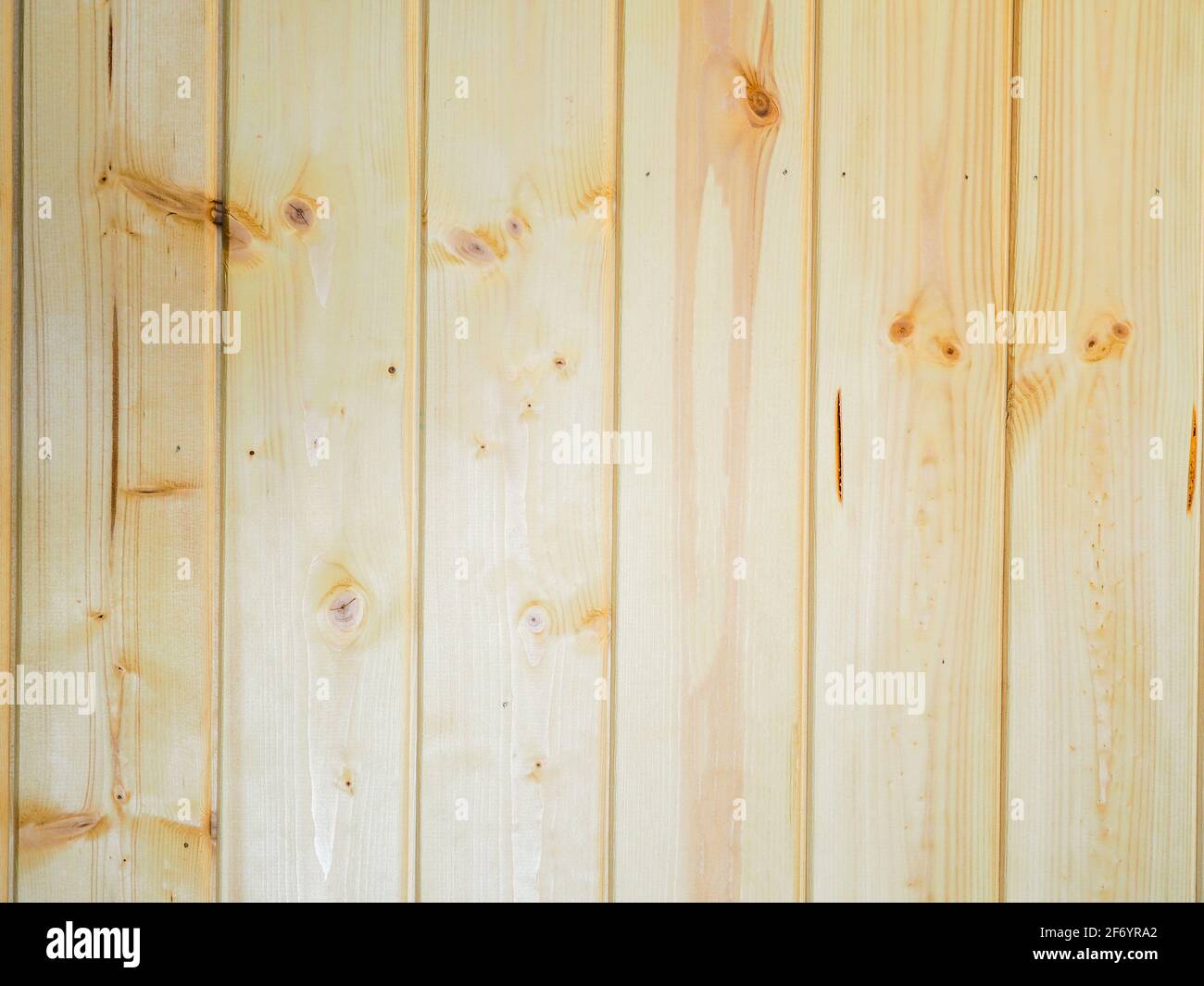 vera texture di legno e sfondo Foto Stock