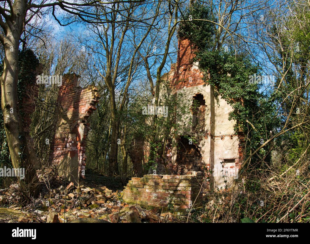 Le rovine crumbling di Norris Hill Cottages nella foresta nazionale vicino Moira North West Leicestershire. Foto Stock
