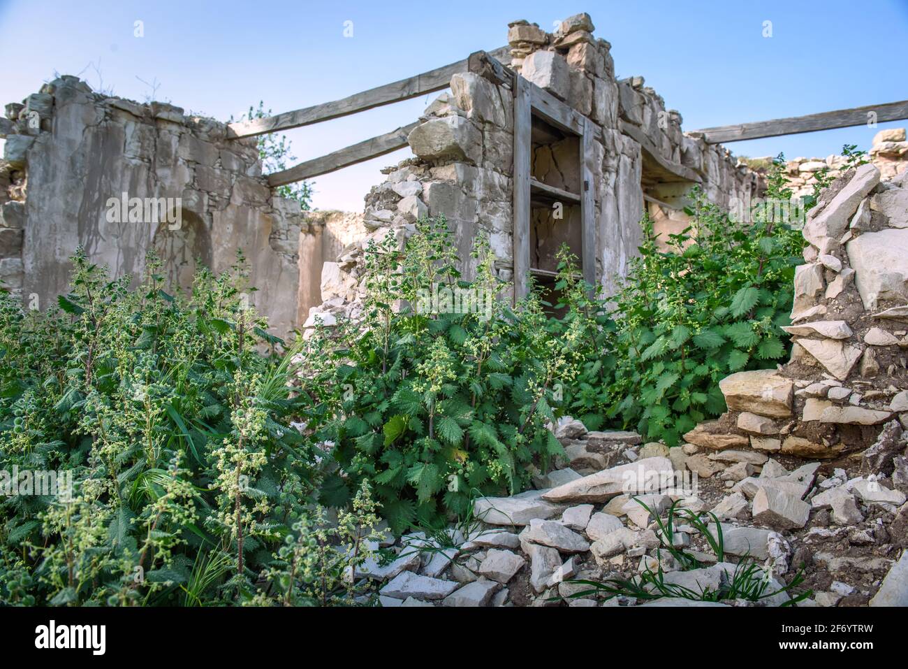 Ortica romana su rovine di casa tradizionale in abbandonato Villaggio di Cipro Foto Stock