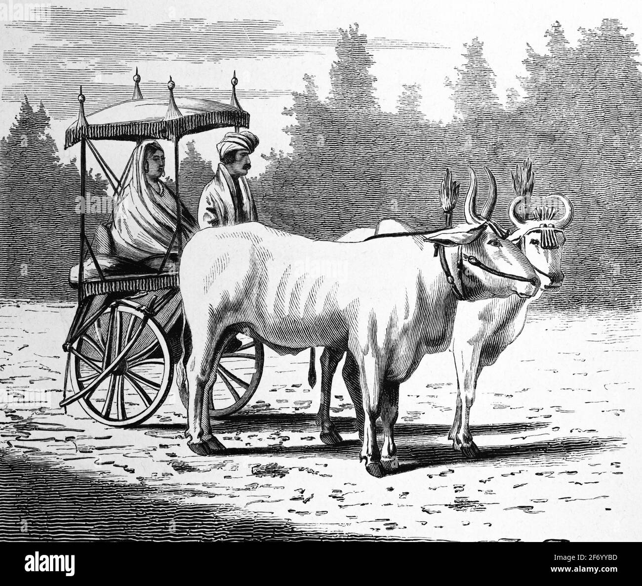 Trasporto pubblico in carrozza trainata da zebù, India, Asia, incisione del legno, Vienna. Lipsia 1881 Foto Stock