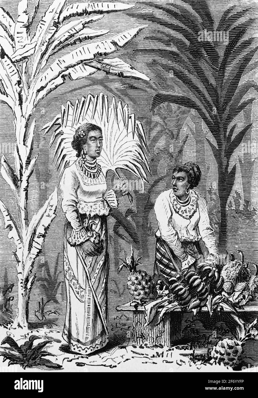 Piantagione di banane con donne singalesi in uno stand di frutta che vende e acquista frutta, illustrazione storica, vita delle donne in India, Wien. Lipsia 1881 Foto Stock