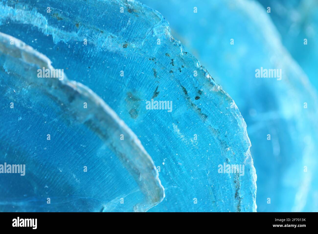 Madre di perla shell background.texture della madre di perla shell.Blue mare natura background.Nature texture pattern. Shell macro astratto Foto Stock