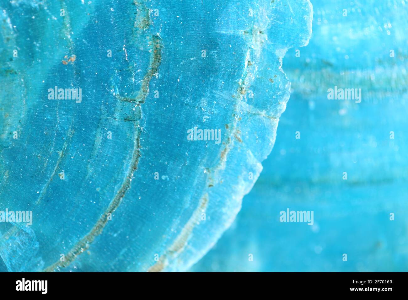 Madre di perla shell background.texture della madre di perla mare shell.Blue mare natura background.Nature texture pattern. Shell macro sfondo Foto Stock