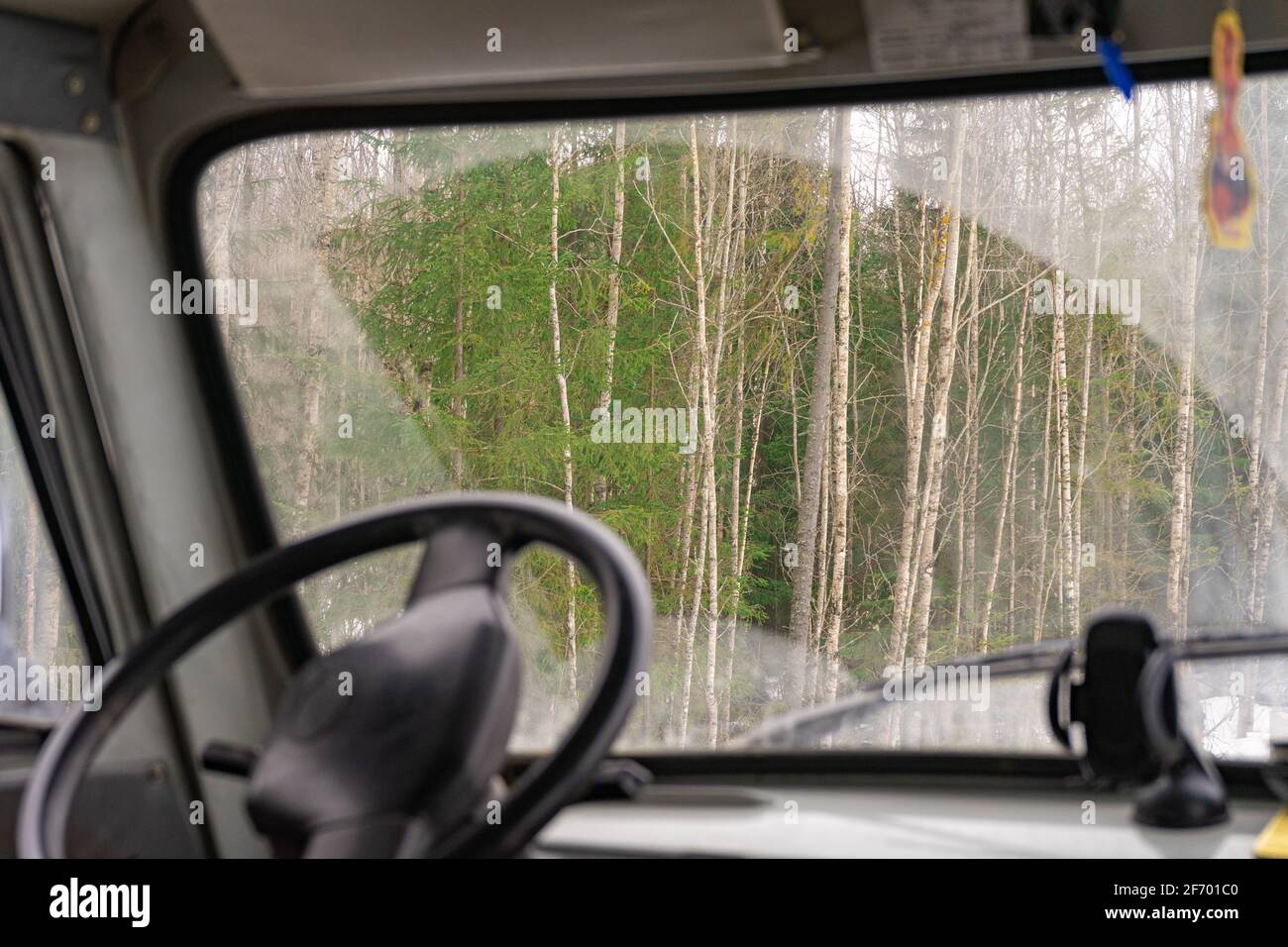 La vista dall'auto attraverso il parabrezza sporco della foresta. Vista dal sedile di guida del carrello. Foto Stock