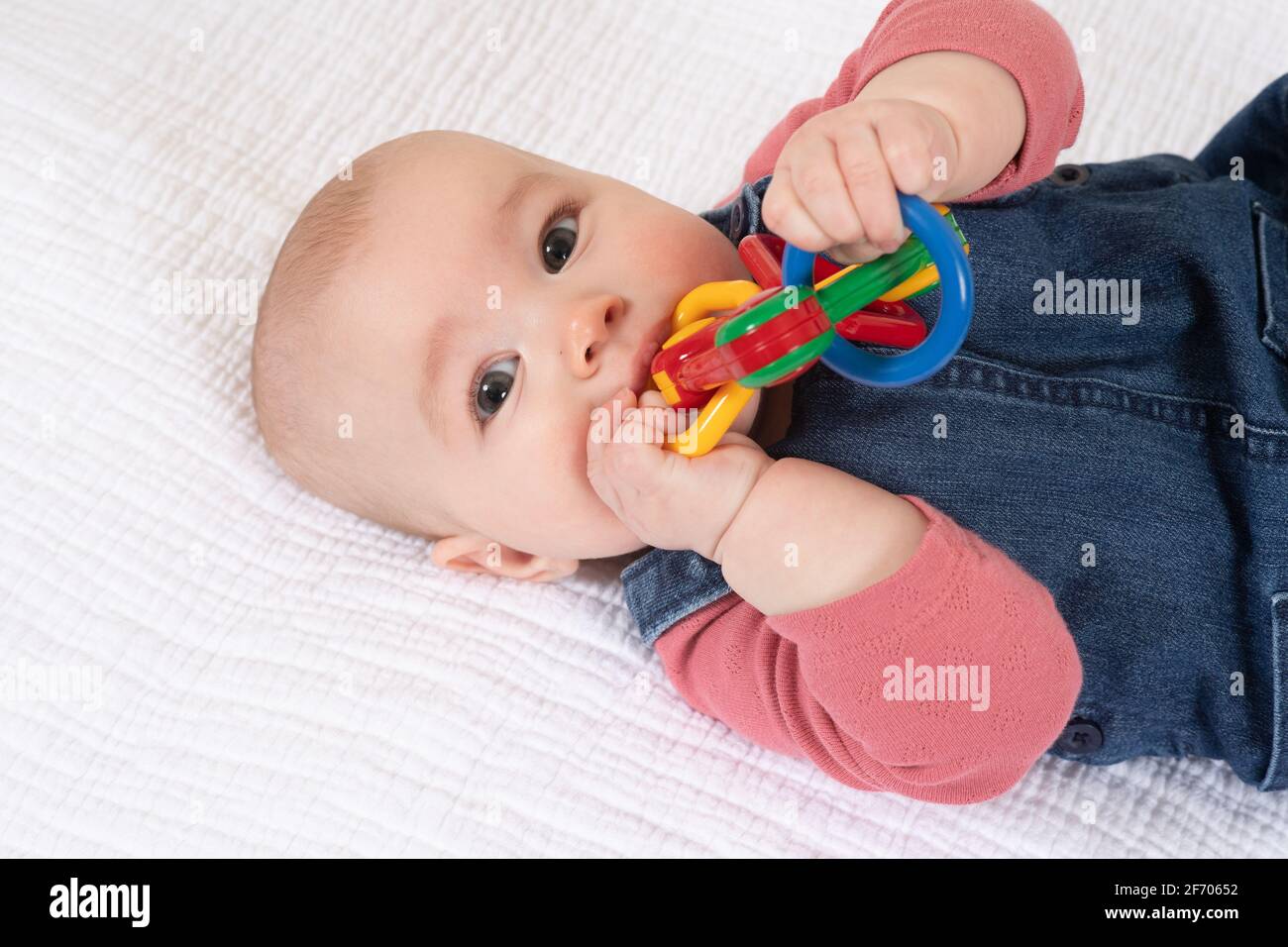 bambina di 4 mesi, che tiene e mouthing giocattolo, guardando spettatore Foto Stock