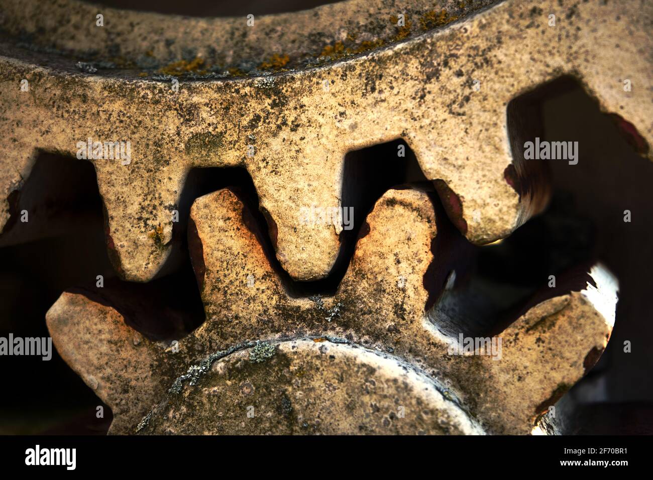 Due ingranaggi interbloccanti, parte di un sistema di ingranaggi per la regolazione e il controllo di uno stramazzo alla foce del fiume Oker sul fiume aller a Mueden, Germa Foto Stock