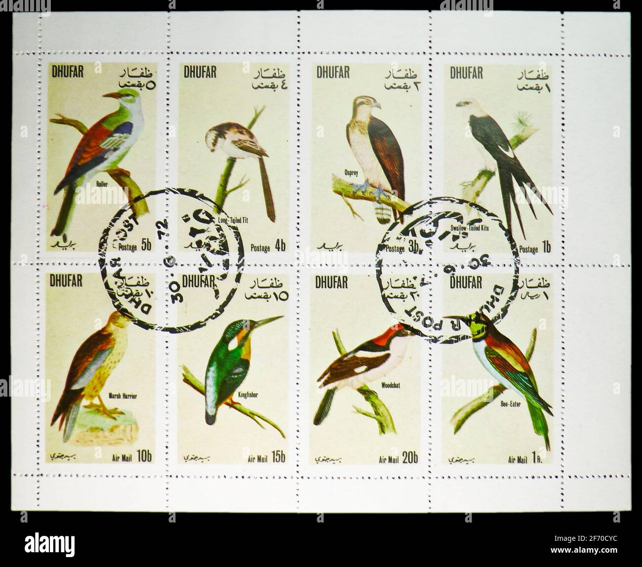 MOSCA, RUSSIA - 19 DICEMBRE 2020: Otto francobolli stampati in Cinderellas, spettacoli Uccelli, dalla serie Dhufar, circa 1972 Foto Stock