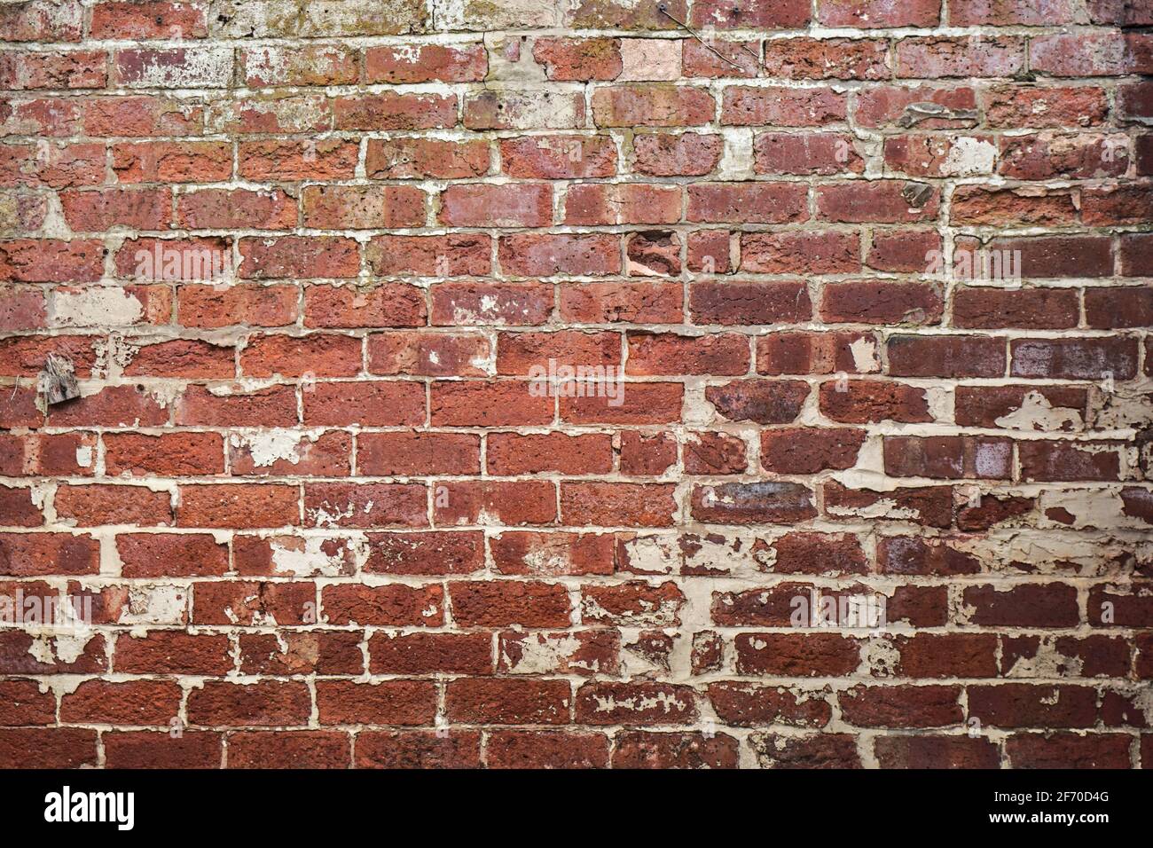 Vecchio muro con mattoni rossi. Foto Stock