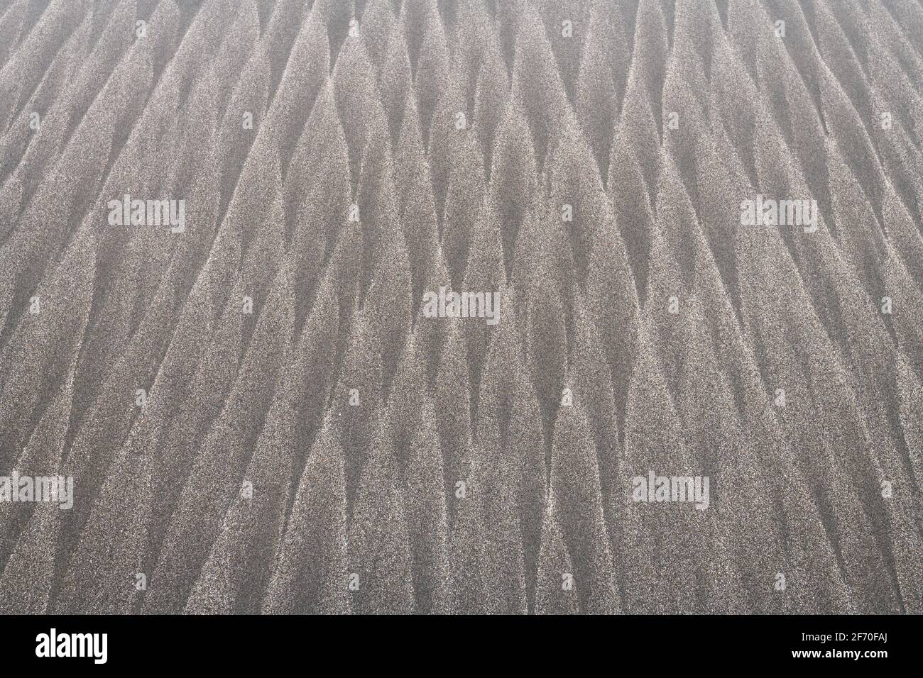 Sabbia soffiata a vento su una spiaggia della costa dell'Oregon soffiata per formare il design naturale ripetitivo delle matite impilate Foto Stock
