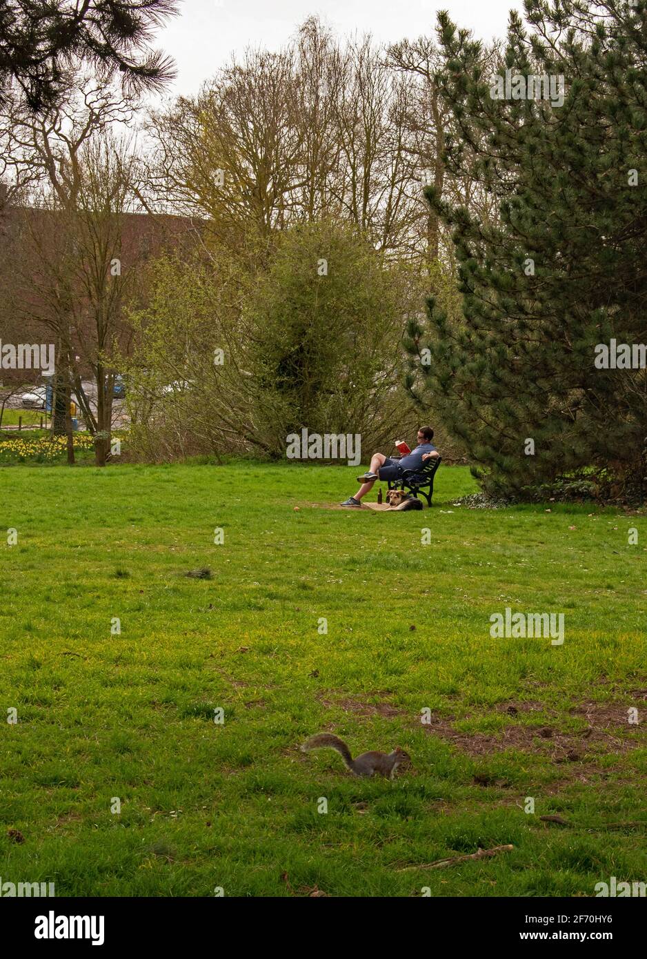 L'uomo la lettura in posizione di parcheggio Foto Stock