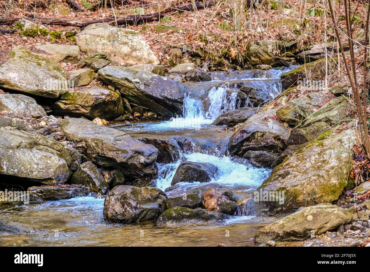 Torrente di montagna sopra le rocce Foto Stock