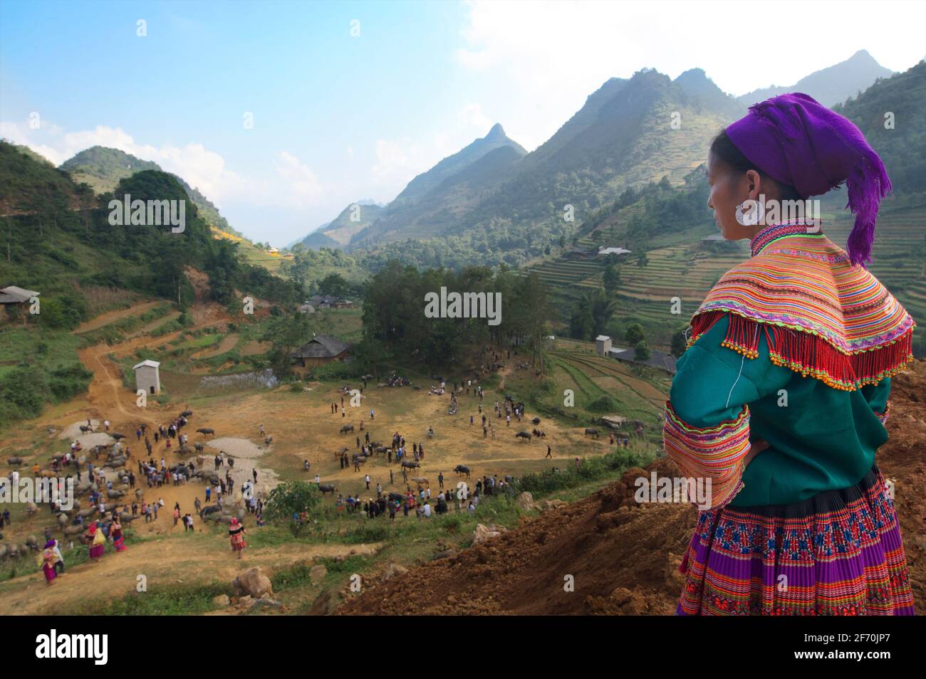 Donna Hmong che domina la sezione del bestiame al mercato Can Cau, vicino a Bac ha. Provincia di Lao Cai, Vietnam del Nord Foto Stock