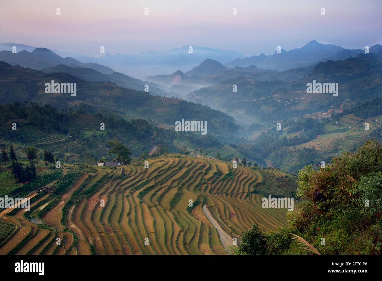Paesaggio rurale sulla strada da Bac ha e può cau. N Vietnam Foto Stock