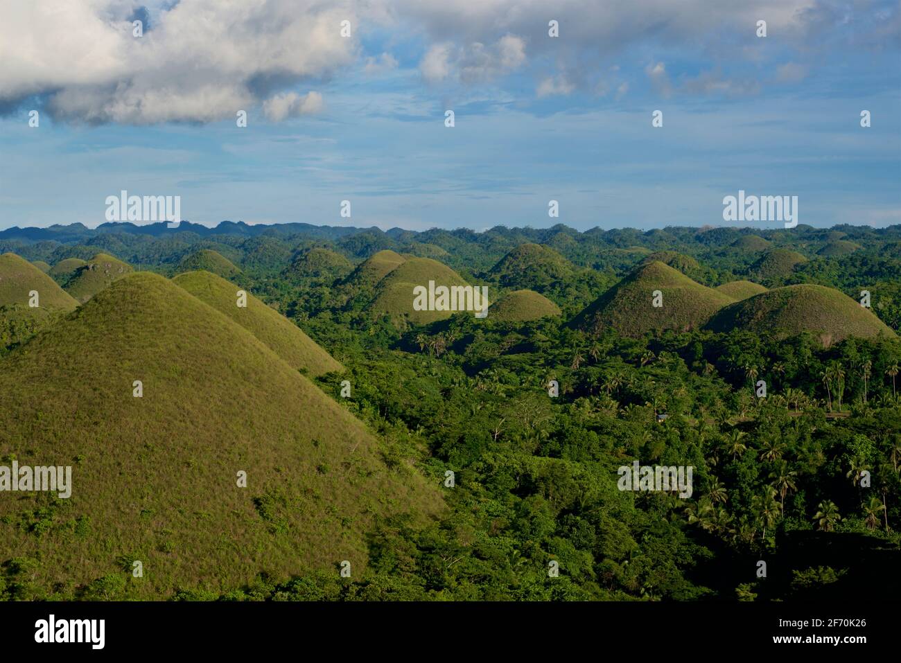 Vista delle "colline del cioccolato", Carmen, provincia di Bohol, Filippine, Sud Asia. Conosciuto a Cebuano come MGA Bungtod sa Tsokolate, e in Tagalog come: Tsokolateng burol. Paesaggio carsico conico Foto Stock