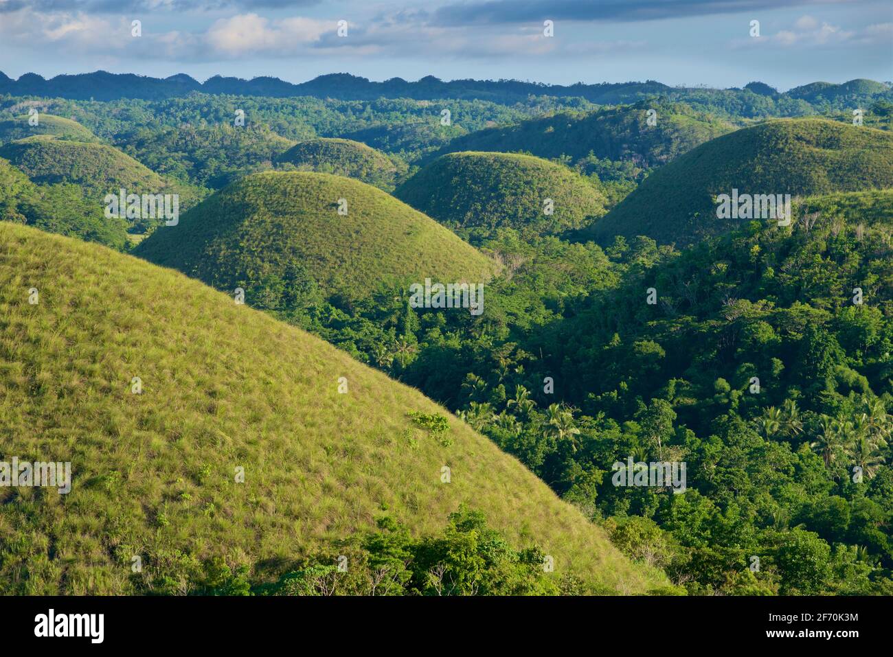 Vista delle "colline del cioccolato", Carmen, provincia di Bohol, Filippine, Sud Asia. Conosciuto a Cebuano come MGA Bungtod sa Tsokolate, e in Tagalog come: Tsokolateng burol. Paesaggio carsico conico Foto Stock