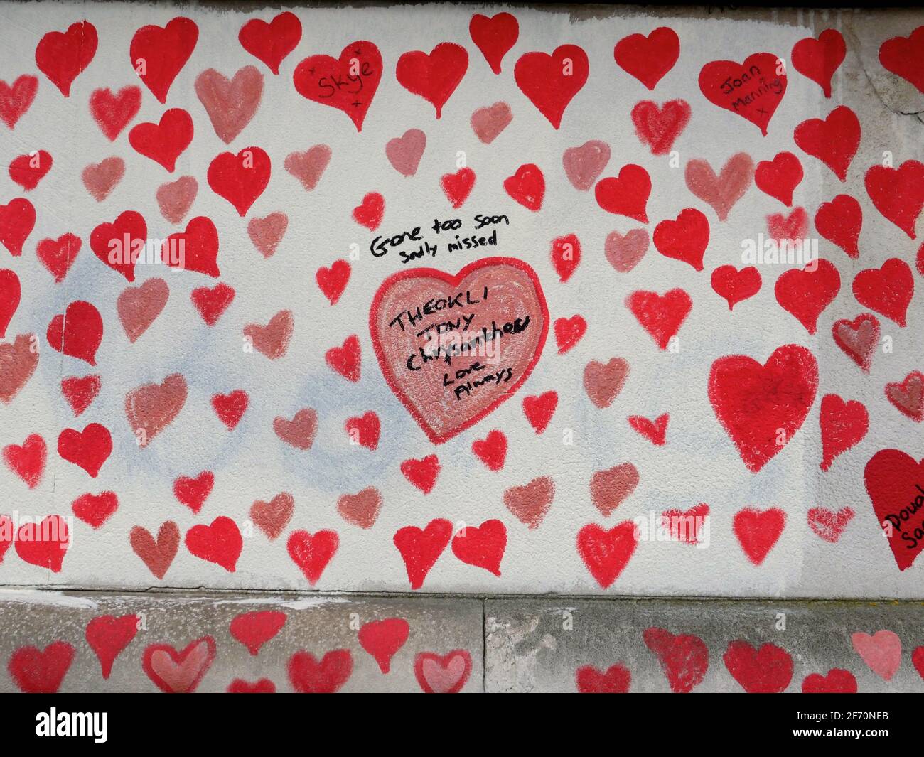 ‘un’effusione d’amore’ – un enorme Muro commemorativo del Covid-19 iniziato di fronte al Parlamento di Londra, lunedì 29 marzo – le famiglie in cattività hanno iniziato oggi la creazione di un Muro commemorativo del Covastid-19, sull’argine di fronte alla Camera del Parlamento di Westminster, London.Pittura di cuori rossi individuali per ciascuna delle più di 145,000 vite perse a causa del virus, Il gruppo spera di mettere le storie personali al centro dell’approccio del governo per imparare le lezioni dalla pandemia e si aspetta che il muro si estenda a oltre mezzo chilometro nei prossimi giorni. Foto Stock