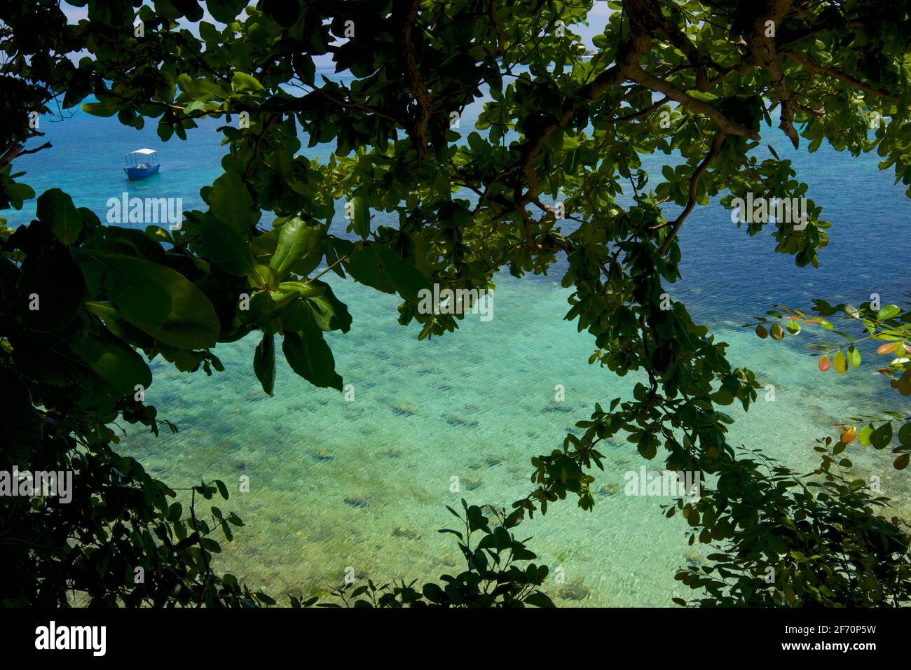 Piccola barca sull'acqua blu incorniciata da fogliame tropicale. Isola di Malapascua, Cebu, Filippine Foto Stock