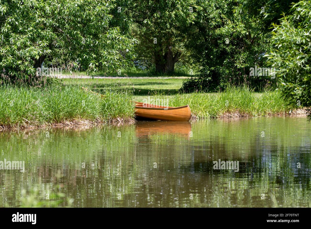 Canoa in legno sulla terra ai margini di un lago di Ottawa, Canada - alti gas e alberi costituiscono un ricco sfondo verde Foto Stock
