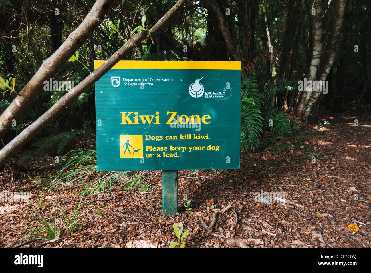Un cartello della Kiwi zone eretto dal Dipartimento della conservazione all'inizio di un percorso naturalistico nel Kaimanawa Forest Park, Nuova Zelanda Foto Stock