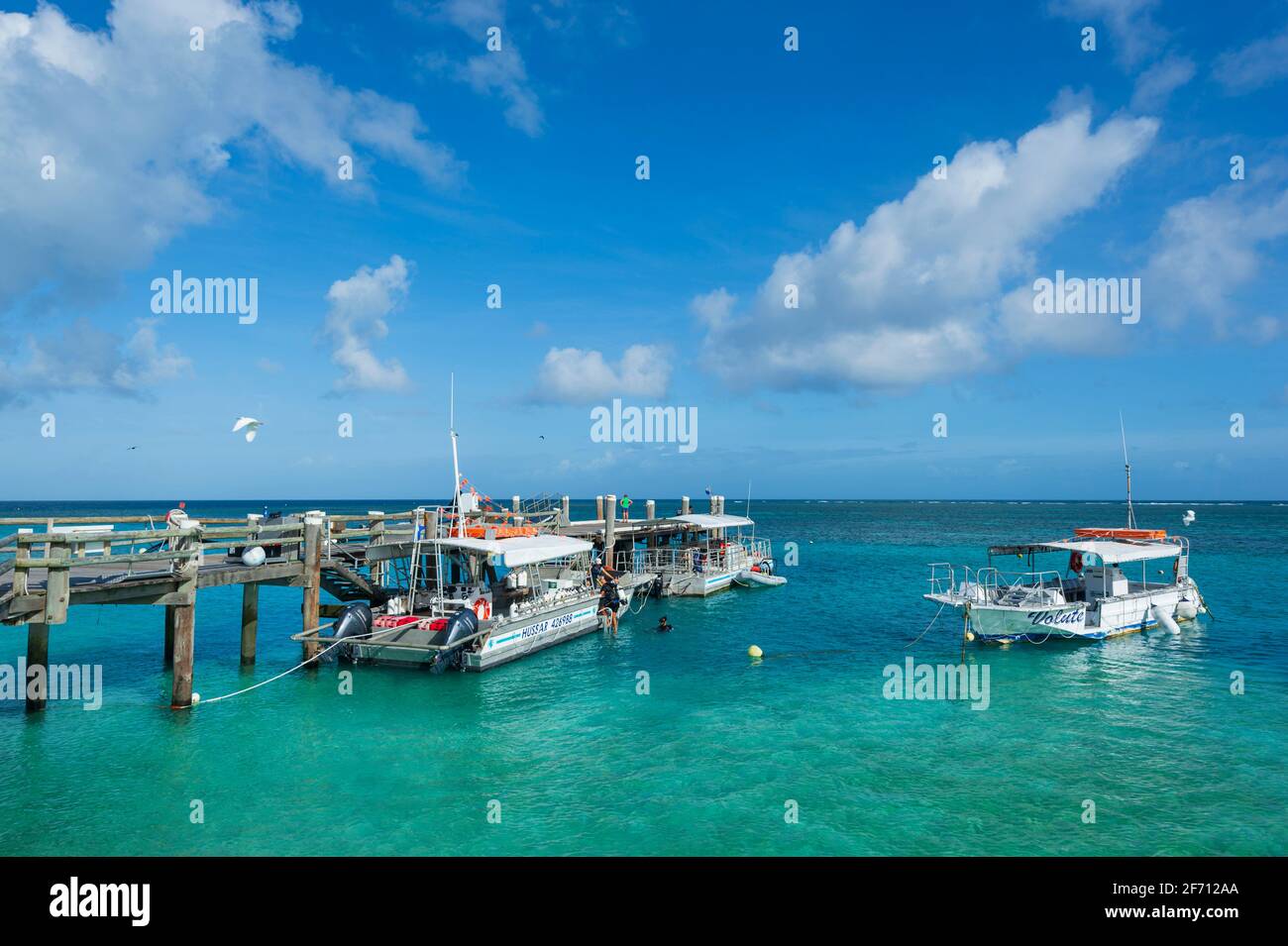 Barche turistiche ormeggiate al molo, Heron Island, Southern Great Barrier Reef, Queensland, QLD, Australia Foto Stock