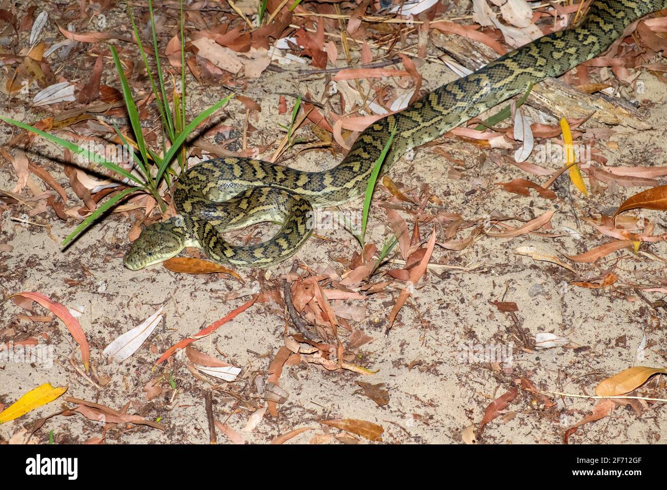 Su Moreton Island Foto Stock