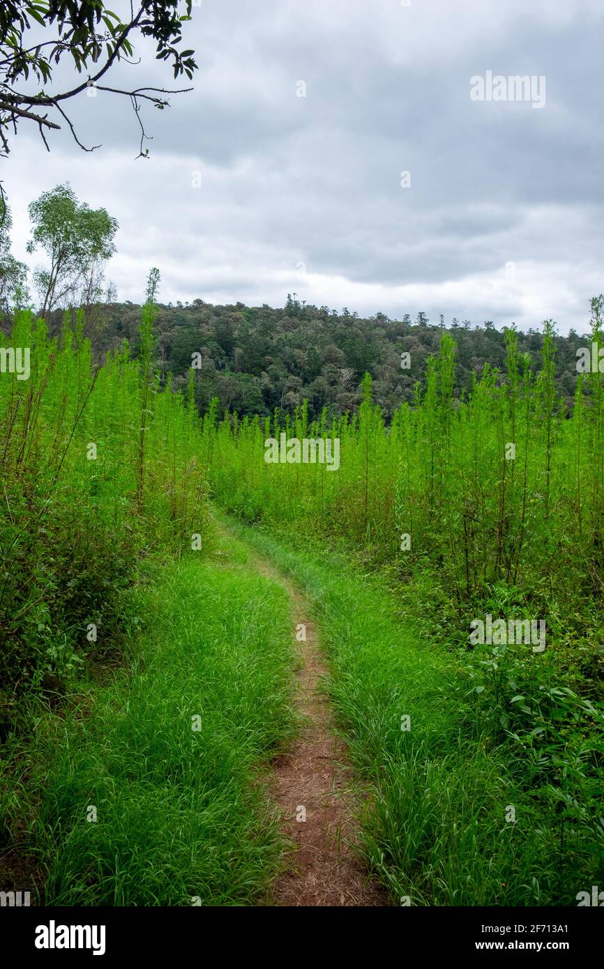 Attenzione ai rapitori Foto Stock