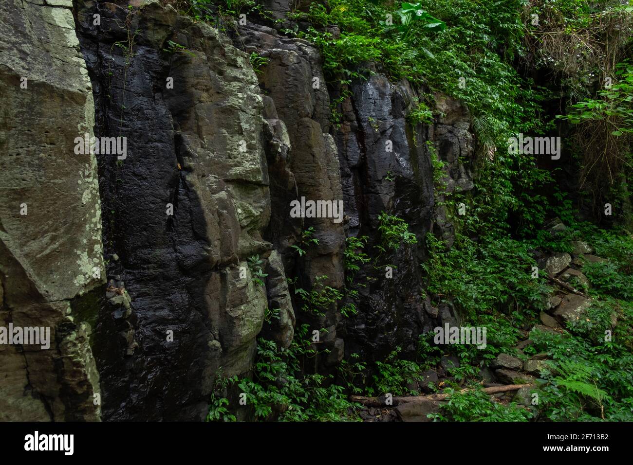 Little Falls, nelle montagne Bunya Foto Stock