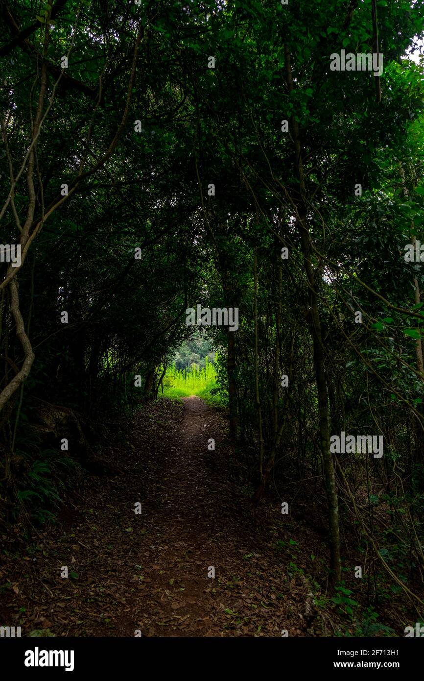 Sentiero del mistero Foto Stock