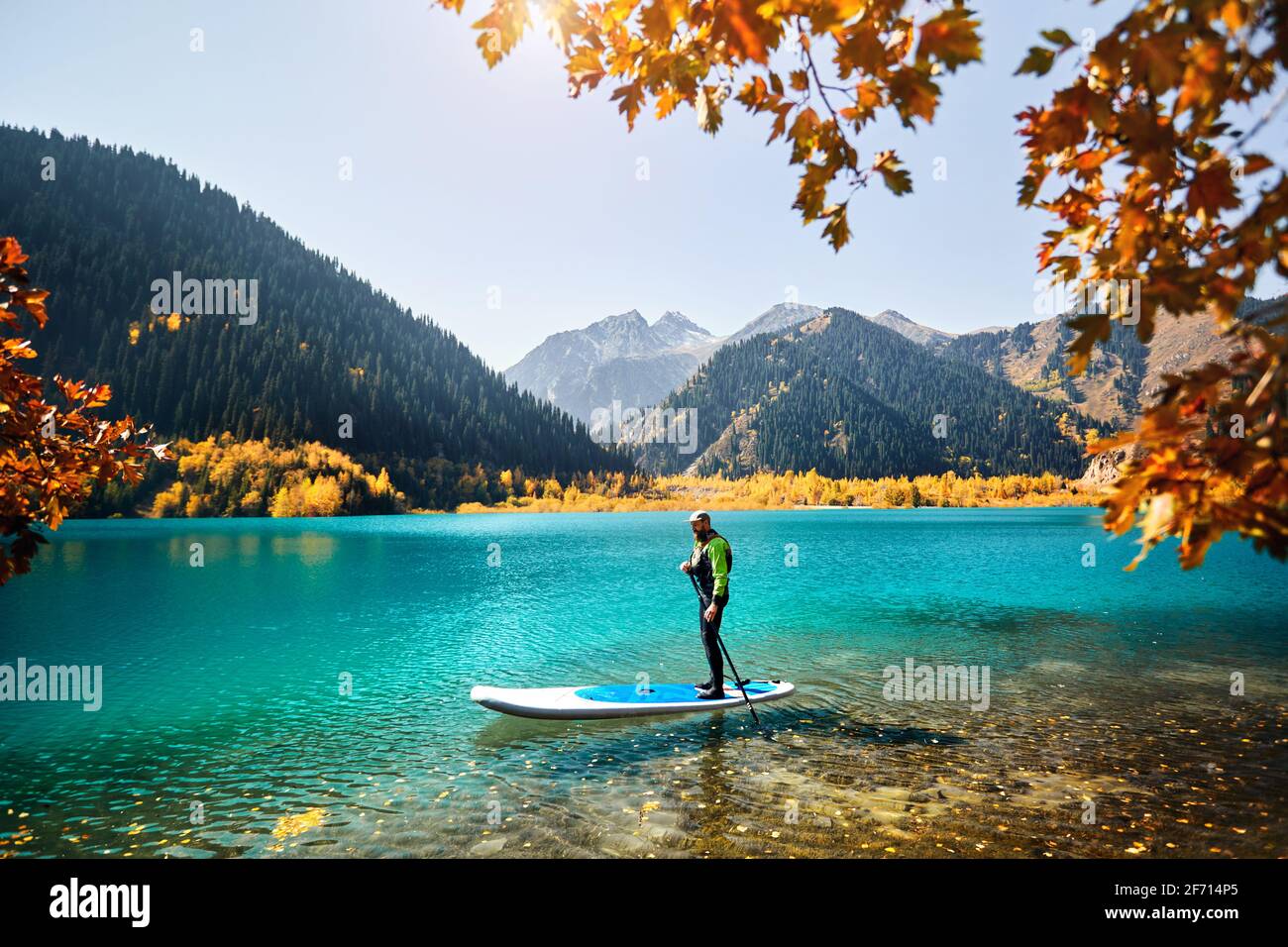 Uomo che galleggia su una tavola SUP presso il lago di montagna vicino alla foresta gialla in autunno. Avventura a stand up paddle boarding. Foto Stock