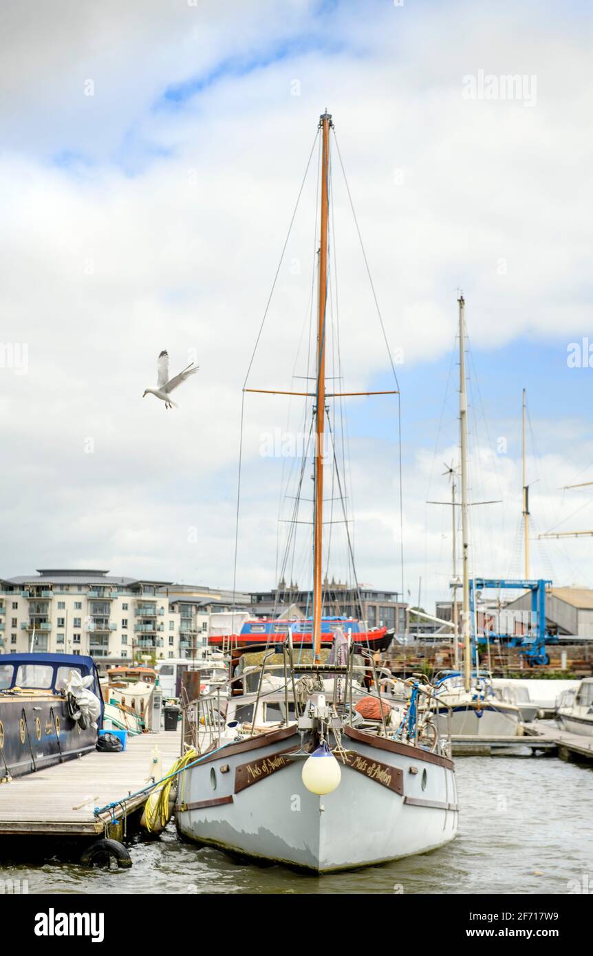 The Marina a Bristol, Regno Unito Foto Stock