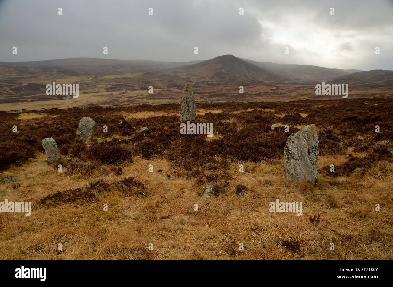 Un cerchio di pietra neolitico remoto e raramente visitato situato nella brughiera di Strath Brora, nelle Highlands scozzesi settentrionali, in Gran Bretagna Foto Stock