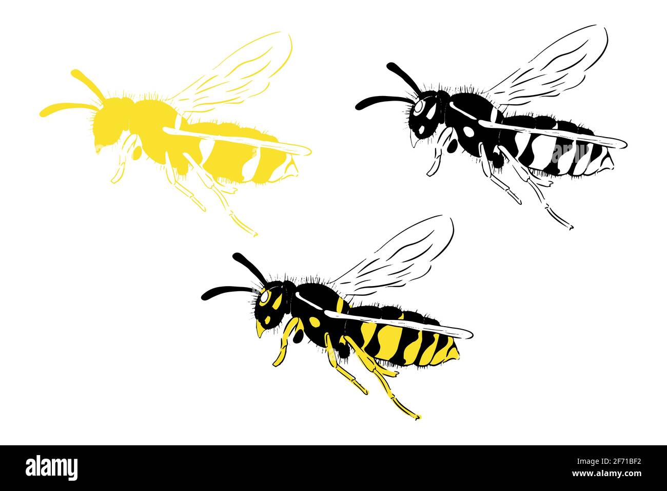 Immagine Bee Set giallo nero isolato su sfondo bianco Illustrazione Vettoriale