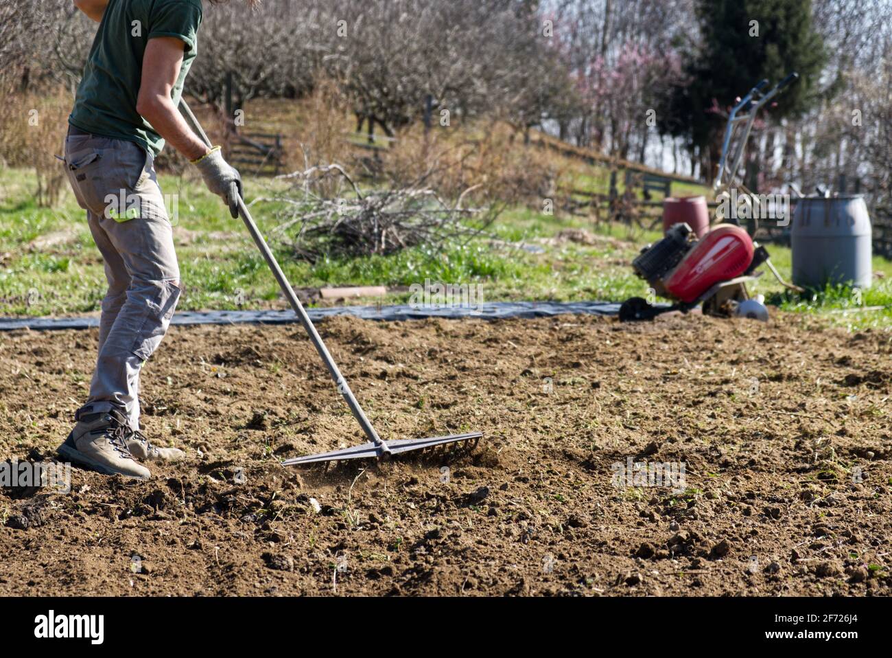 Un agricoltore prepara il terreno per l'orto estivo con un rastrello Foto Stock
