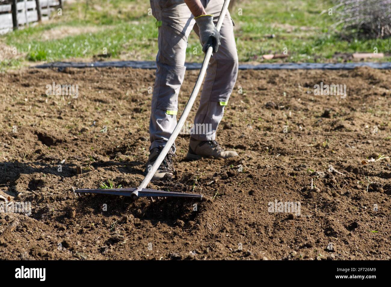 Un agricoltore prepara il terreno per l'orto estivo con un rastrello Foto Stock