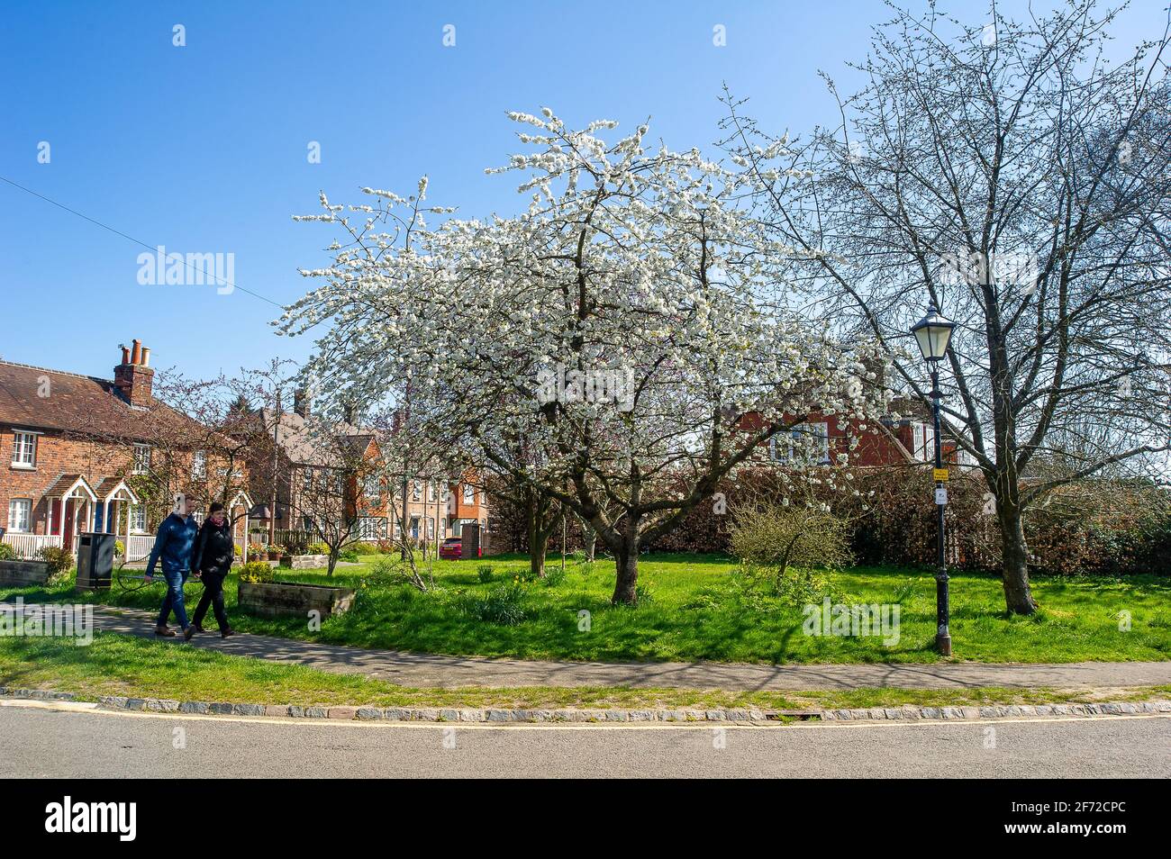 Beaconsfield, Buckinghamshire, Regno Unito. 4 aprile 2021. Fioritura primaverile nella città vecchia di Beaconsfield. Era un'altra mattina tranquilla oggi la domenica di Pasqua a Beaconsfield. Credit: Maureen McLean/Alamy Live News Foto Stock