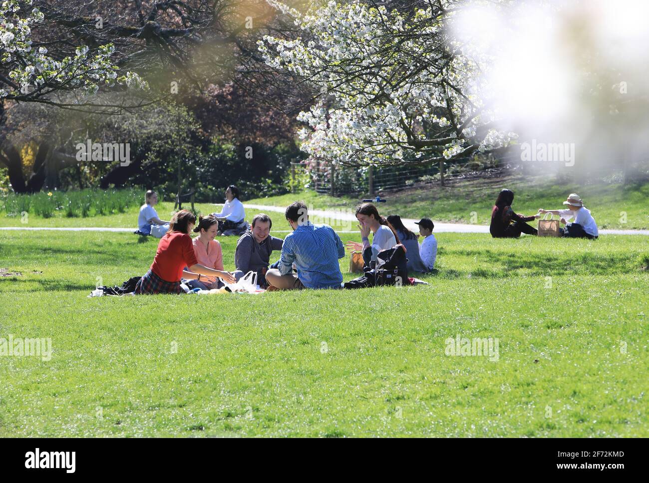 Londra, UK, 4 aprile 2021. Il bel tempo è tornato a Londra per la domenica di Pasqua con temperature di 15 gradi. Amici e famiglie hanno apprezzato i picnic sotto gli alberi in fiore nel Regents Park. Credit: Monica Wells/Alamy Live News Foto Stock