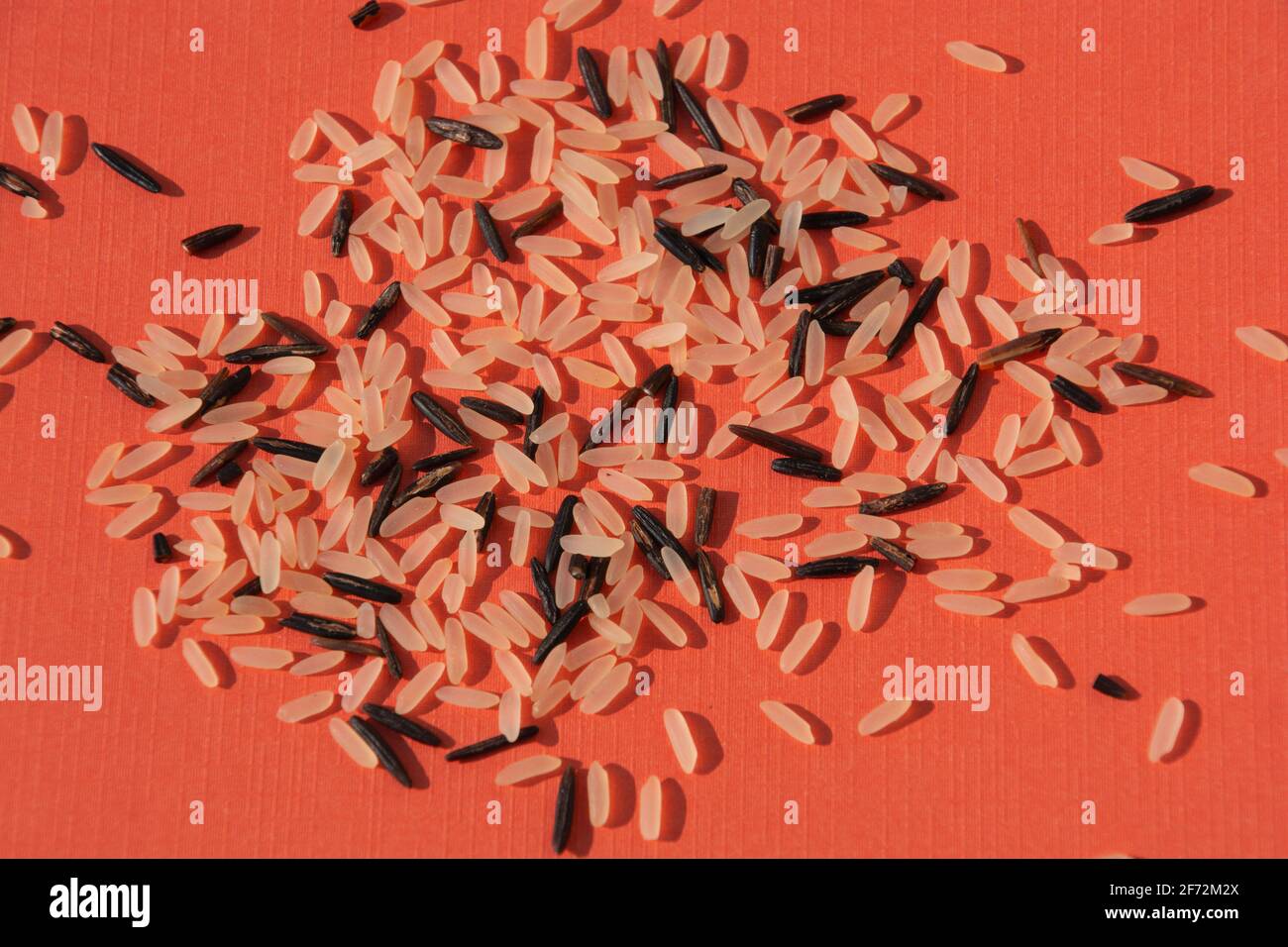 riso selvatico crudo o avena d'acqua su foglio di carta colorato sfondo Foto Stock
