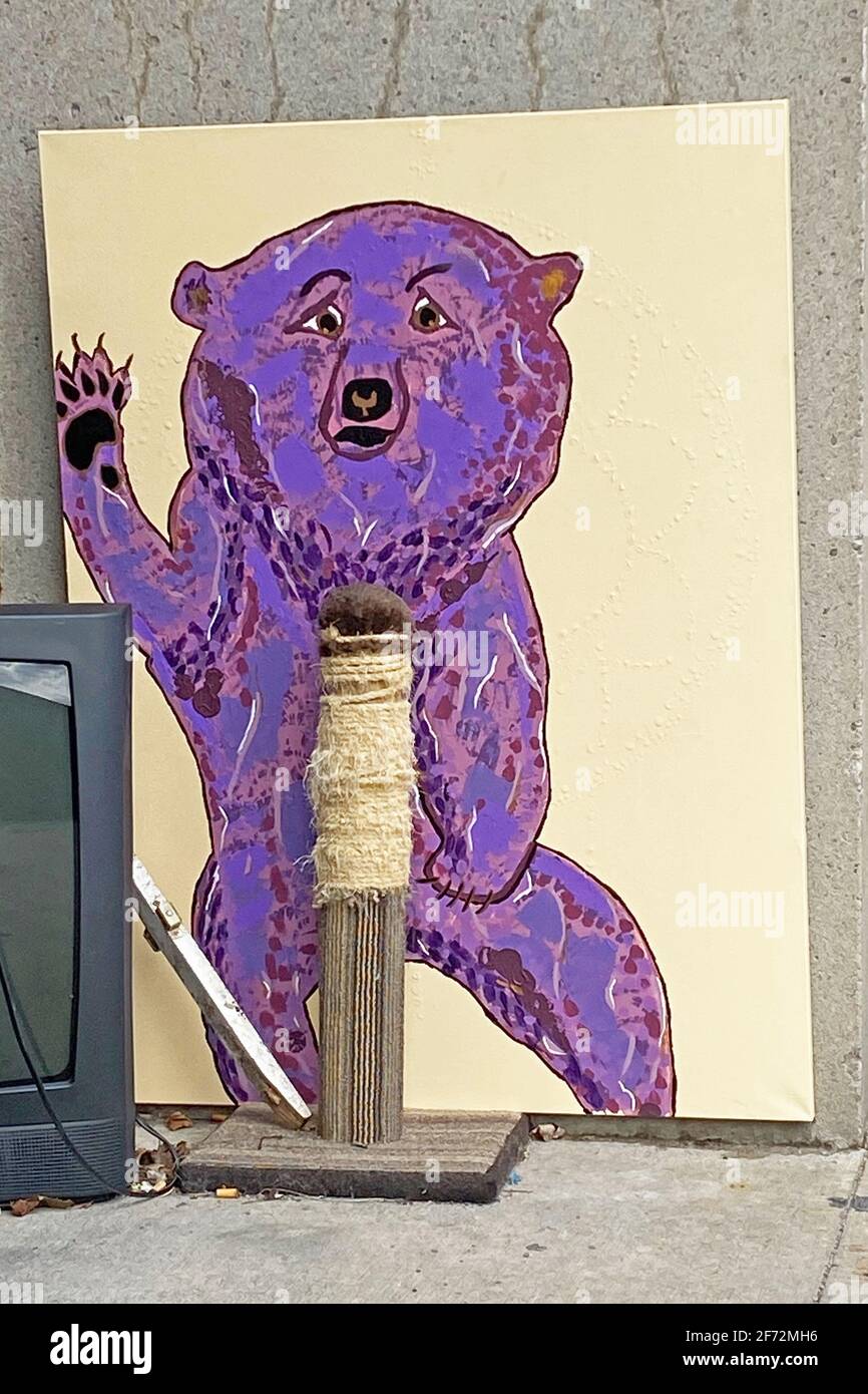 Porpora Bear che ondola su tela - la pulizia della molla ha provocato un'area artistica spazzatura dietro un edificio di appartamenti Foto Stock